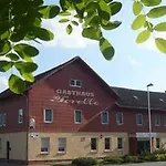 Forelle Guest house 3*