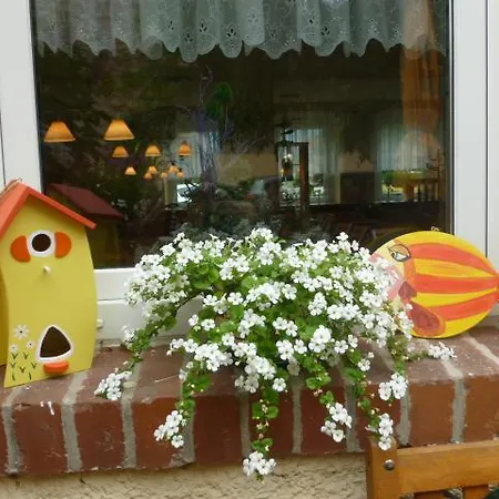 Pensjonat Forelle 3*