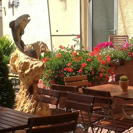 Πανσιόν Forelle